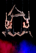 4 performers on trapeze