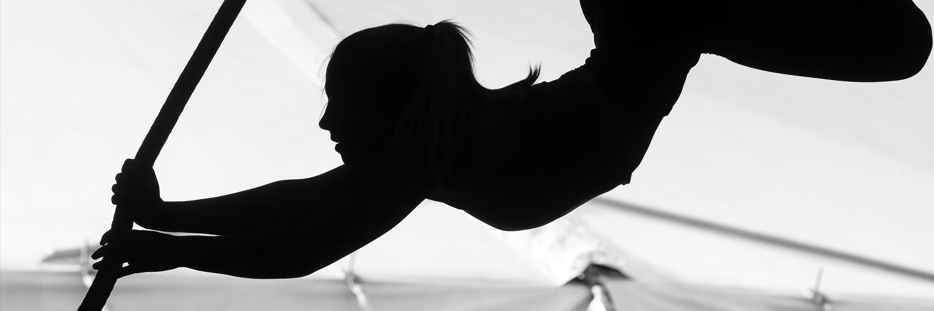 Spanish Web Silhouette