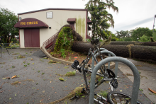 Tree down in front of hut